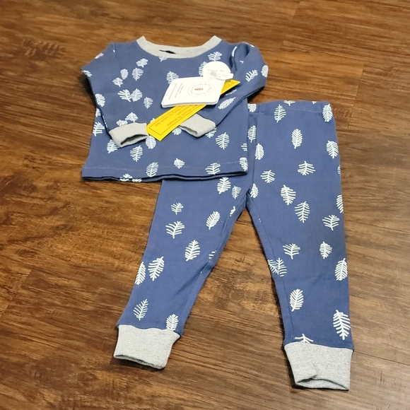 Burt's Bees Baby Other - Burt's Bees Baby 2 Piece Leaf Pajama